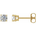 14K Yellow 1/2 CTW Natural Diamond Earrings